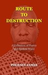 Route to Destruction - PHOENIX JAMES - 9781739792534