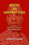 Route to Destruction - PHOENIX JAMES - 9781739792534