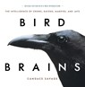 Bird Brains - Candace Savage - 9781771644259