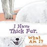 I Have Thick Fur. What Am I? - Arvaaq Press - 9781774506349
