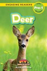 Deer - Ava Podmorow - 9781774767412
