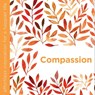 Compassion - Dani DiPirro - 9781780289502