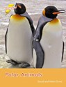 Polar Animals - David Orme ; Orme David - 9781781270806