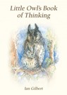 Little Owl's Book of Thinking - Ian Gilbert - 9781781354391