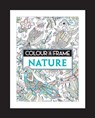 Colour and Frame - Felicity French - 9781782435846