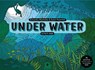 Under Water Activity Book - Aleksandra and Daniel Mizielinski - 9781783707706