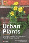 A Field Guide to Urban Plants - Alexandra-Maria Klein ; Julia Krohmer - 9781784274740