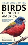 Field Guide to the Birds of North America - Miles McMullan - 9781784275426