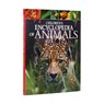 Children's Encyclopedia of Animals - Dr Michael Leach ; Dr Meriel Lland - 9781784288143
