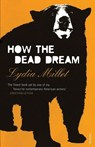 How the Dead Dream - Lydia Millet - 9781784700638