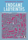 Endgame Labyrinths - Jacob Aagaard - 9781784831523