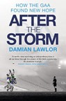 After the Storm - Damian Lawlor - 9781785304668