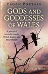 Pagan Portals - Gods and Goddesses of Wales - Halo Quin - 9781785356216
