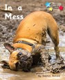 In a Mess - Stephen Rickard ; Rickard Stephen - 9781785918094