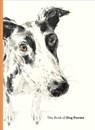 The Book of Dog Poems - SAMPSON,  Ana - 9781786279439