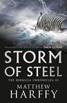 Storm of Steel - Matthew Harffy - 9781786696335
