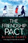 The School Friend - Alison James - 9781786819550