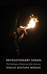 Revolutionary Sudan - Khalid Mustafa Medani - 9781787384033