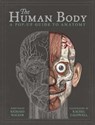 The Human Body - Richard Walker - 9781787410589