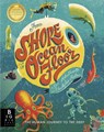From Shore to Ocean Floor - Gill Arbuthnott - 9781787418349