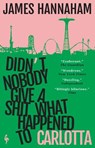 Didn't Nobody Give a Shit What Happened to Carlotta - James Hannaham - 9781787704930