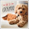 Love is a Cockapoo - Charlie Ellis - 9781787839922