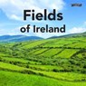 Fields of Ireland - Sarah O'Connor - 9781788495790