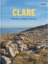 Clare - Carsten Krieger - 9781788496100