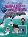 My First Big Book of Whales and Dolphins - Belinda Gallagher - 9781788566346