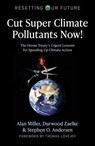 Cut Super Climate Pollutants Now! - Alan Miller, First Frame Magazine ; Durwood Zaelke ; Stephen O. Andersen - 9781789048353