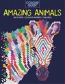 Colour Quest®: Amazing Animals - Lauren Farnsworth - 9781789292855