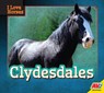 Clydesdales - Maria Koran - 9781791119553