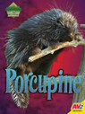 Porcupine - Christine Webster - 9781791120955