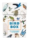 Bird Box: 100 Postcards by 10 Artists -  - 9781797240046