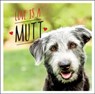 Love is a Mutt - Charlie Ellis - 9781800071919