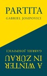 Partita and A Winter in Zurau - Gabriel Josipovici - 9781800174313
