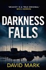 Darkness Falls - David Mark - 9781800246331