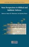 New Perspectives in Biblical and Rabbinic Hebrew - Aaron D Hornkohl ; Geoffrey Khan - 9781800641655