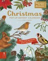 Welcome to the Museum: A Christmas Pop-Up Advent Calendar - Royal Botanic Gardens Kew PLG - 9781800784369