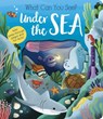 What Can You See? Under the Sea - Molly Littleboy - 9781801045551