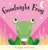 Goodnight Frog - Amber Lily - 9781801052559