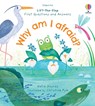 First Questions and Answers: Why am I afraid? - Katie Daynes - 9781801313919