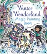 Winter Wonderland Magic Painting Book - Abigail Wheatley - 9781801319157