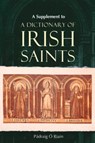 A Supplement to a Dictionary of Irish Saints - Padraig O Riain - 9781801510196