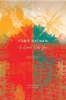 A Land Like You - Tobie Nathan ; Joyce Zonana - 9781803091969
