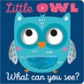 Little Owl What Can You See? - Cara Jenkins - 9781803377483