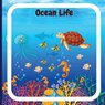 Ocean Life Book for Kids - John Peter - 9781803859774