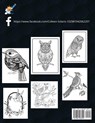 Birds Coloring Book - Colleen Solaris - 9781804003091