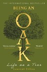 Being an Oak - Laurent Tillon - 9781804183410