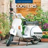 Scooters 2025 Square Wall Calendar - Red Robin - 9781804426715